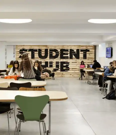 Découvrez l'IE University